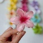 کلپس پلومریا براق ترند - تصویر 5